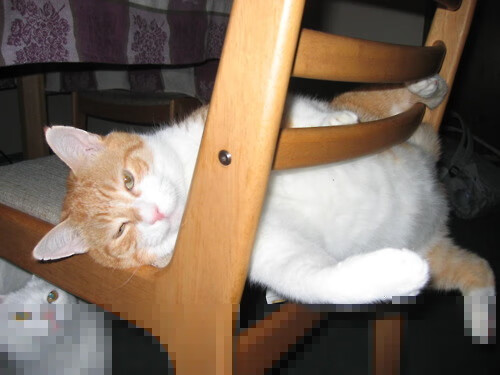 成都马拉松赛破纪录，跑者热情高涨，成都 马拉松 2020