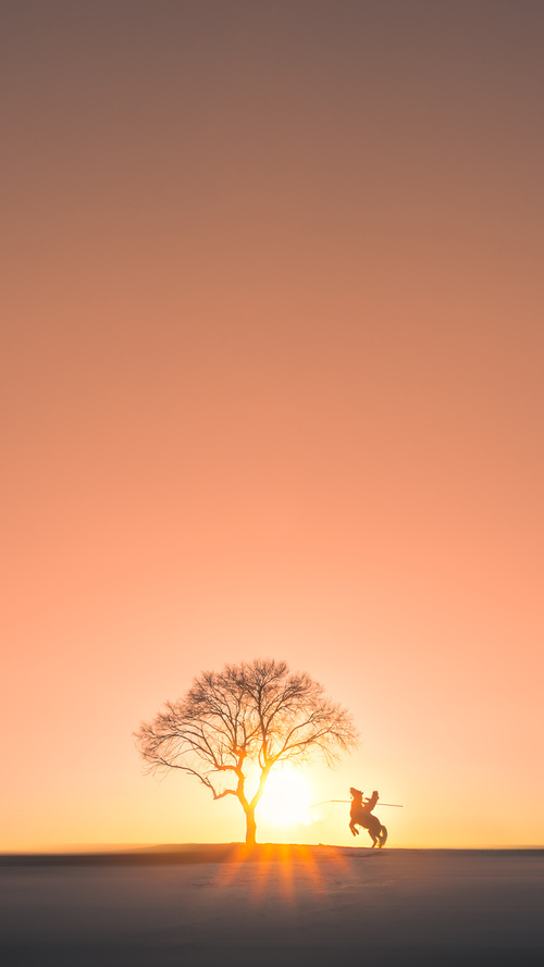 史上最震撼的“金球夜”:那些令人难忘的表演,金球 woc