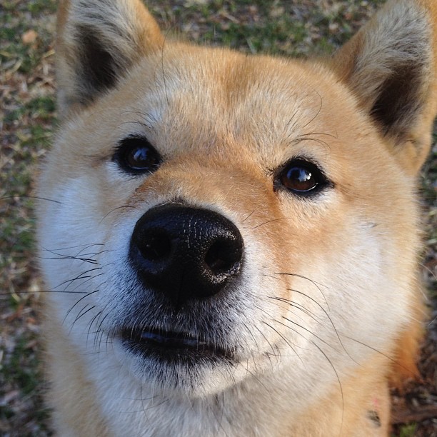 爱游互娱游戏官网-年轻天才开启欧冠魔幻之旅，未来可期，足坛年轻天才
