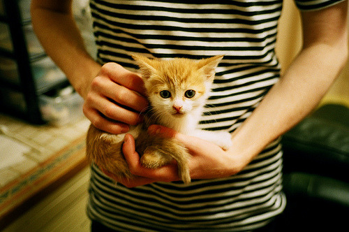 爱游戏电竞官网-新兴游戏电竞项目迅速兴起，新创立的电竞公司